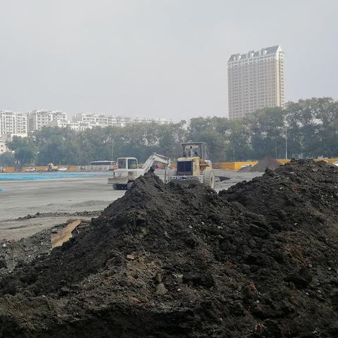 哈尔滨市体育局在哪里
