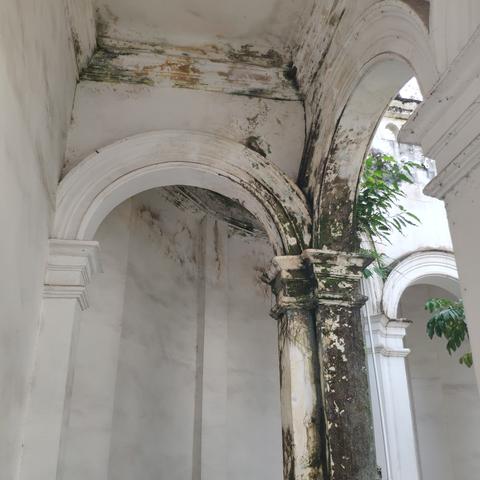 东莞市公租房在哪里