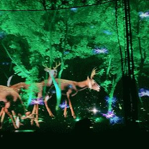 无锡市哪里有卖青蛙