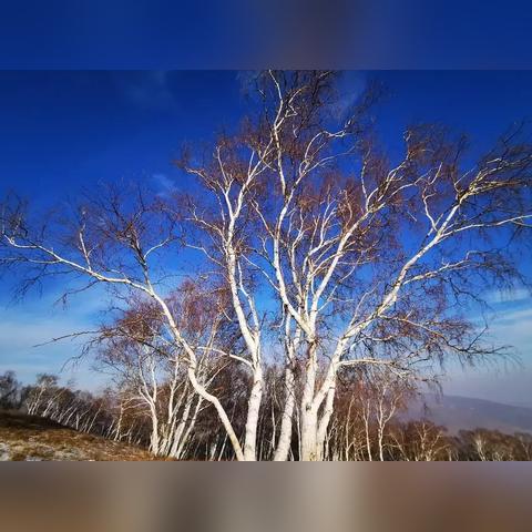 【合肥未来15天天气预报】合肥未来15天气情况查询