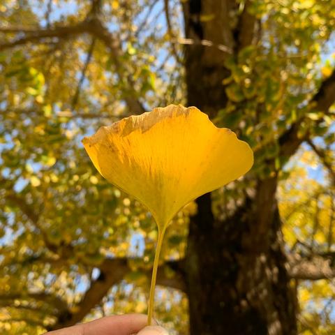 从桂林市怎么去海洋乡