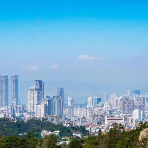 厦门市儿童人口多少