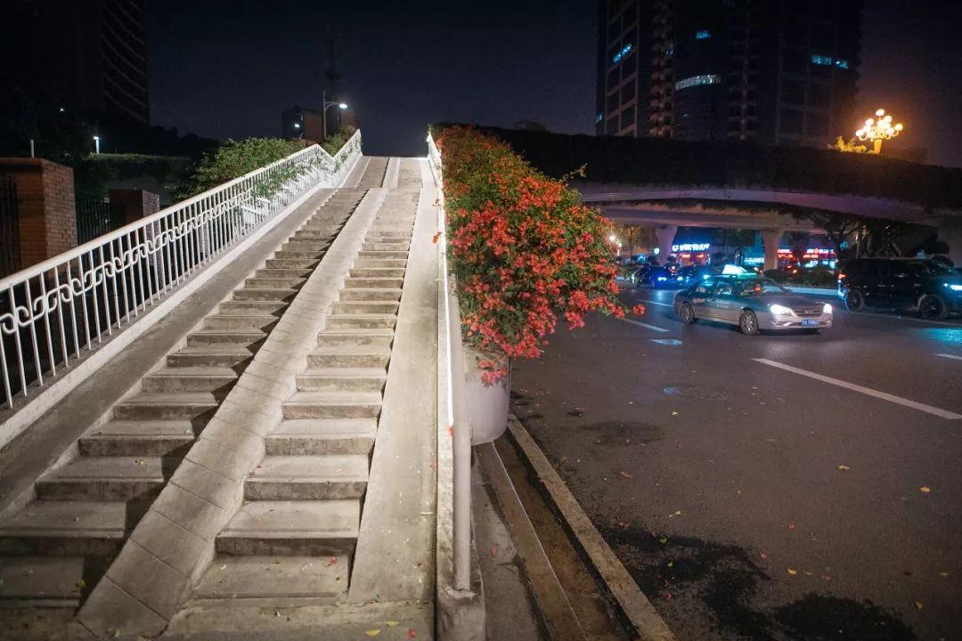 越秀北路有什么美食（广东早茶排名前十名）