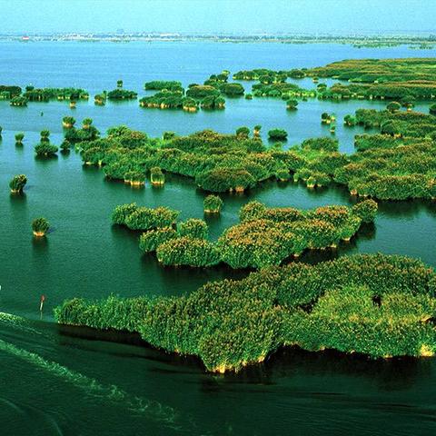 宁夏旅游攻略景点必去.十月宁夏旅游攻略景点必去? 宁夏旅游攻略景点必去.十月宁夏旅游攻略景点必去?