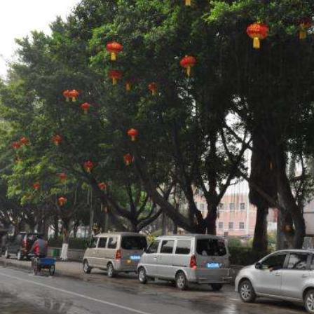 广东东莞市的人口的长尾关键词有什么