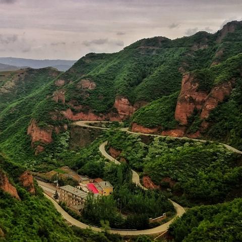 兰州市哪里有卖百合种球