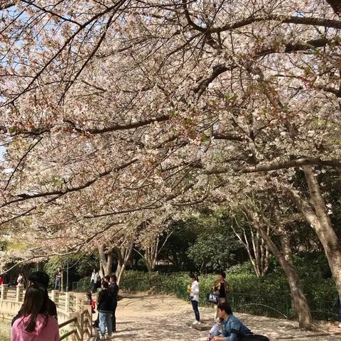 无锡市哪里有蹦极