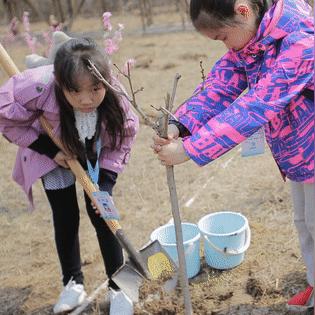 济南哪里植树相关长尾关键词有哪些