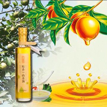 南宁市的横县属于哪个区