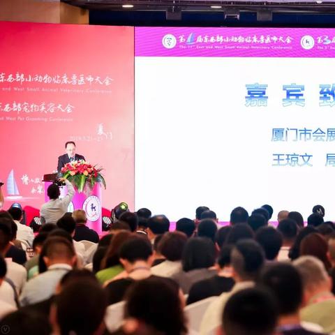 厦门专业的宠物医院的相关长尾关键词有哪些