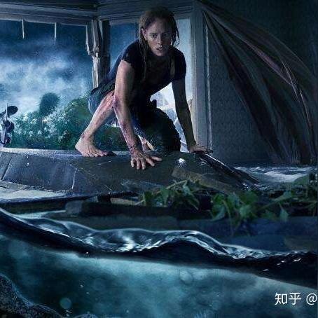 风暴电影说的什么