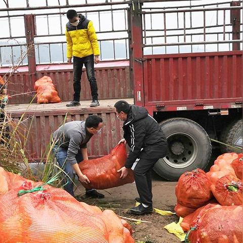 怎样加入武汉志愿者协会？