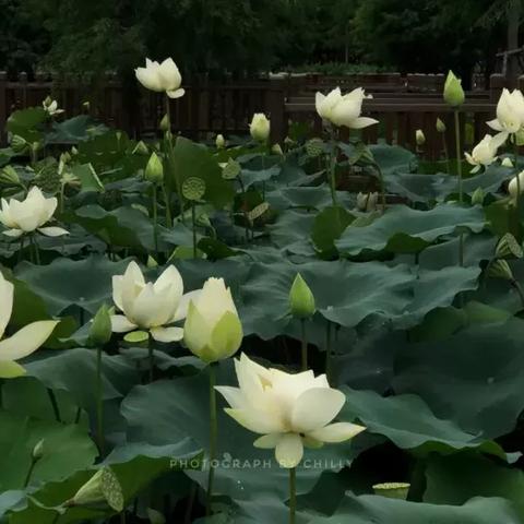 厦门周末娱乐活动的相关长尾关键词有哪些