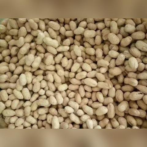 保定市12月去哪里玩