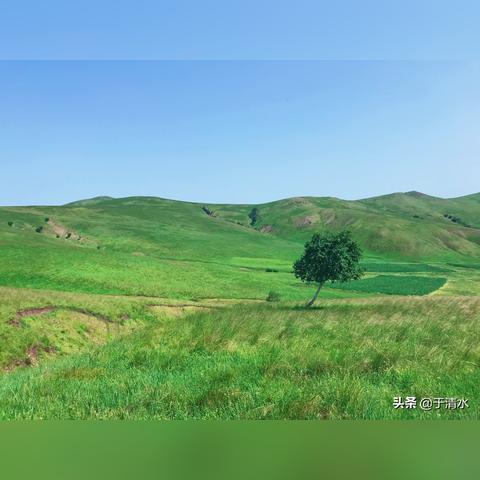 桂林市兴安县哪里卖羊肉