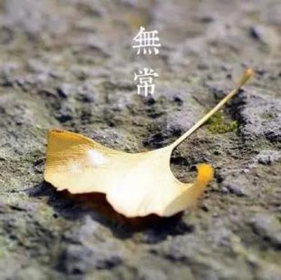 人生无常是什么意思(人生别来无恙这句话是什么意思)