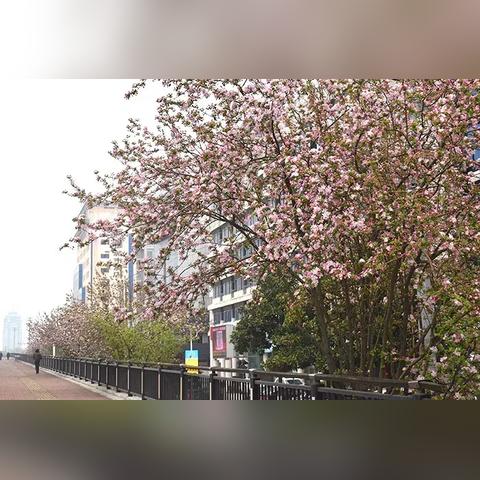 菏泽市丹阳路大桥造价的长尾关键词有什么