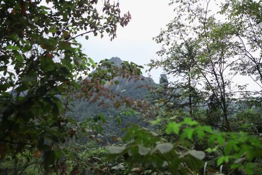 真！小众冷门地！驴友私藏仙境，躲在深山里的金华“小九寨”！