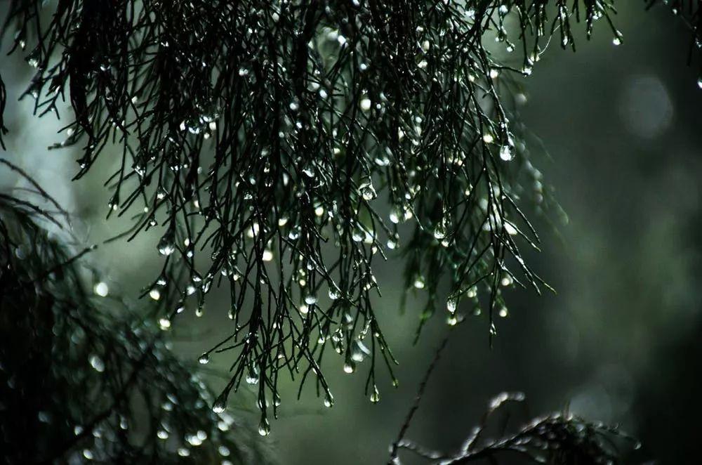 小雪天出生的宝宝怎么起名(二十四节气雨水的由来及习俗)