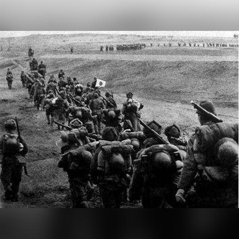 长沙市政策在什么网查询