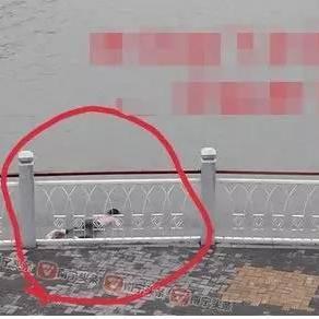 南宁一中和三中哪个好？