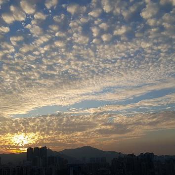 驻马店最近十天什么天气