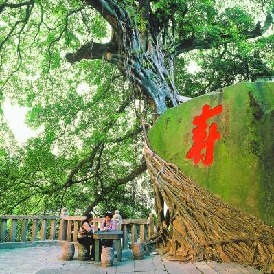福建亿榕 怎么样