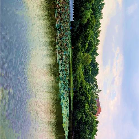 广东省东莞市近期天气怎么样