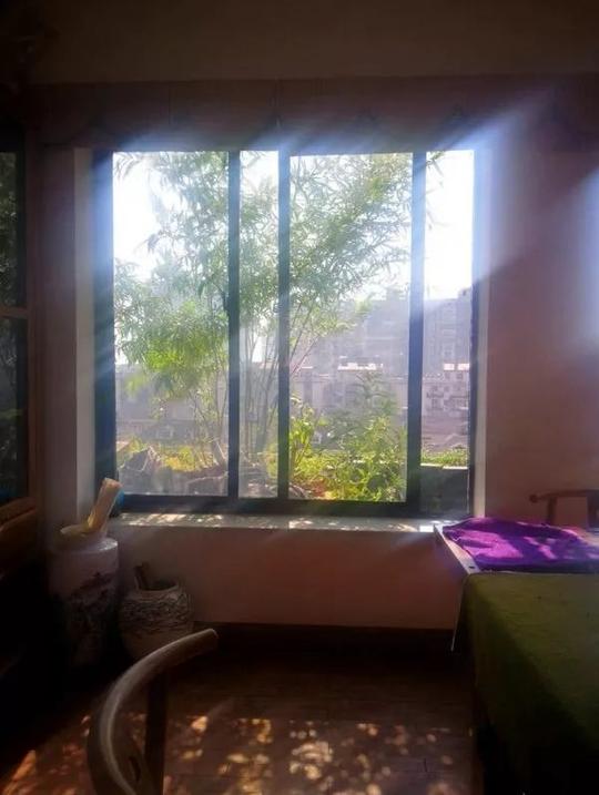 不惑之年，他自己动手建了一座楼顶花园，养花种菜喂鱼……