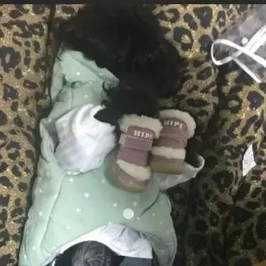 大连 修防盗门的相关长尾关键词有哪些