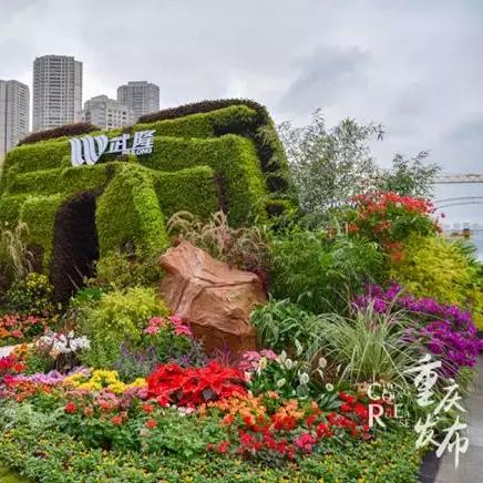 武汉市所在的区县是什么