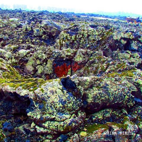 黑龙江石龙ai人工智能培训班的相关长尾关键词有哪些