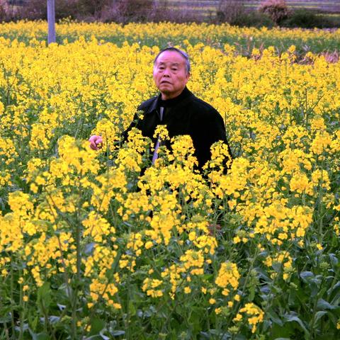 福建蒲城怎么样啊