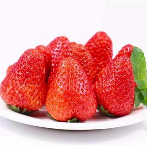 保定市顺丰中转厂在哪里