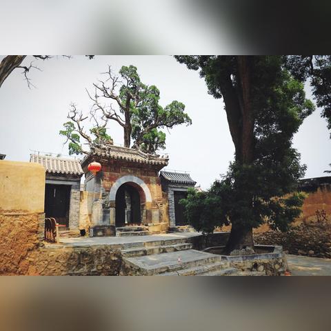 求考试哪个寺河南