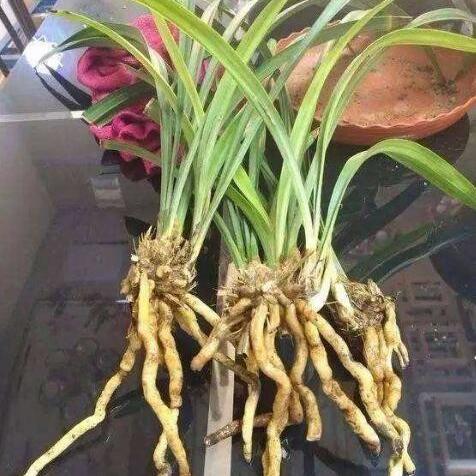 为什么春分秋分怎么区分