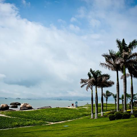 厦门大学白色沙滩的相关长尾关键词有哪些