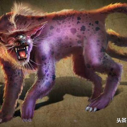 食人花电影的长尾关键词是什么