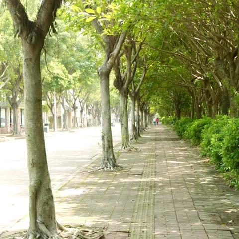 福建龙溪中学怎么样