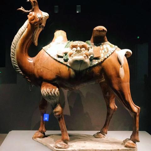 重庆华夏观天下怎么样