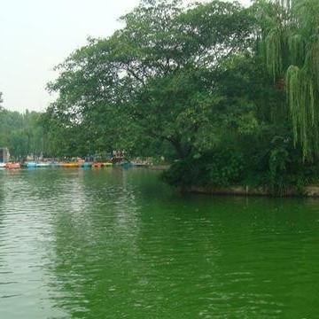 合肥市苗圃租房怎么样啊