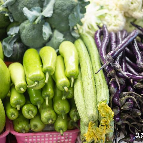 【深圳今日菜价】2025年4月10日深圳菜价是多少