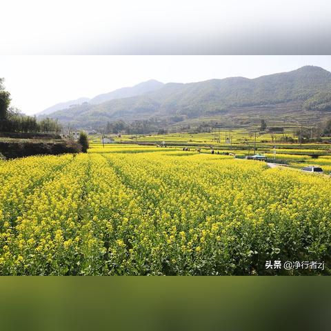 宁波到婺源汽车的相关长尾关键词有哪些