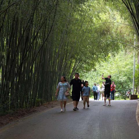 河南北方是哪个省会