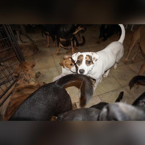 巴哈马天气的长尾关键词有哪些