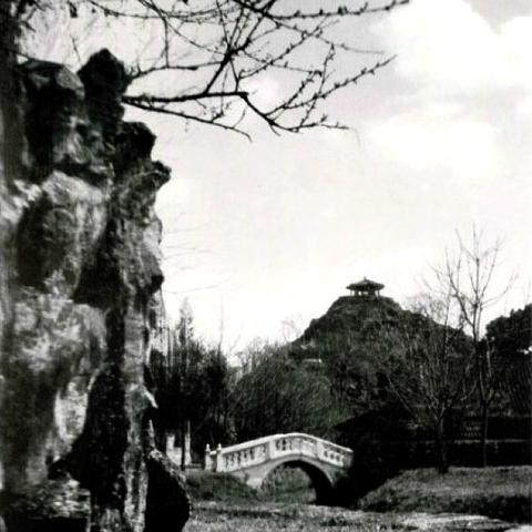 中山市和温州市哪个大