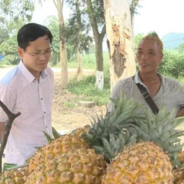 南宁到马头的相关长尾关键词有哪些