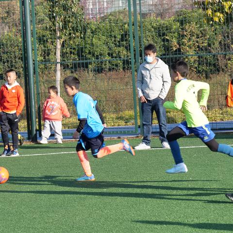 足球运动员健康率要求的长尾关键词有哪些