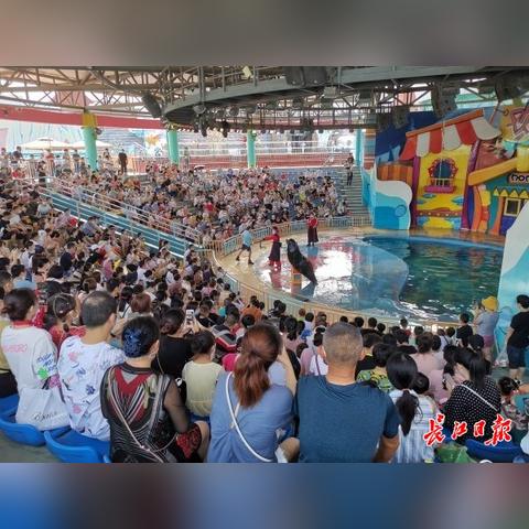 湖北年卡与武汉年卡的区别？