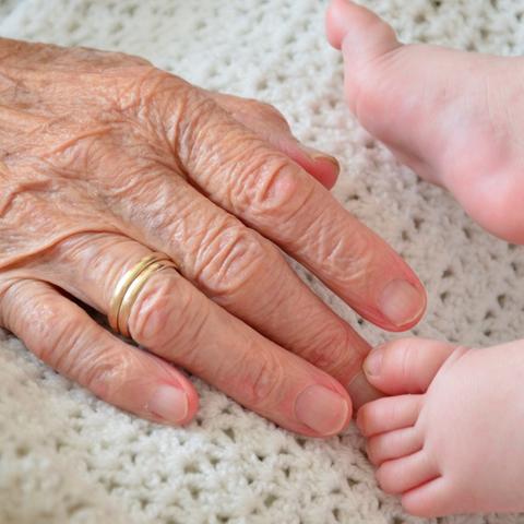 福建送湖北鲍鱼怎么样